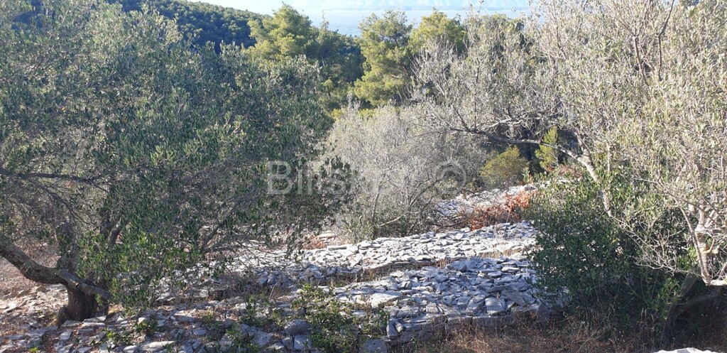 Image 4594956 - 8