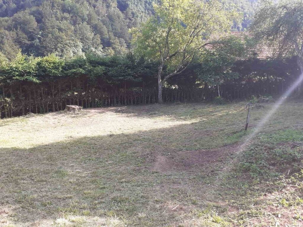 Image 4601161 - 11