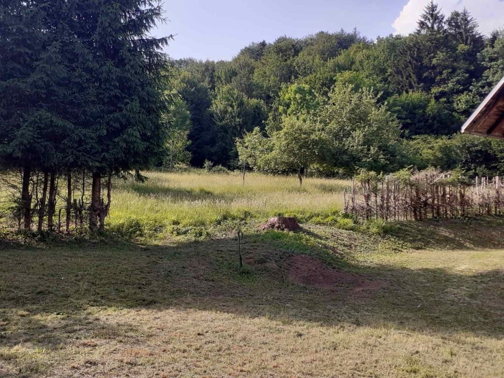 Image 4601161 - 18
