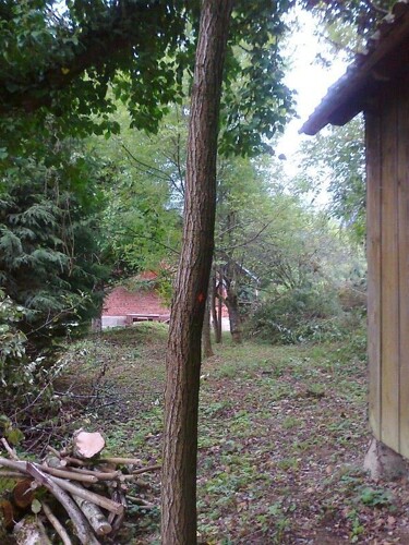 Thumbnail 4601161 - 8