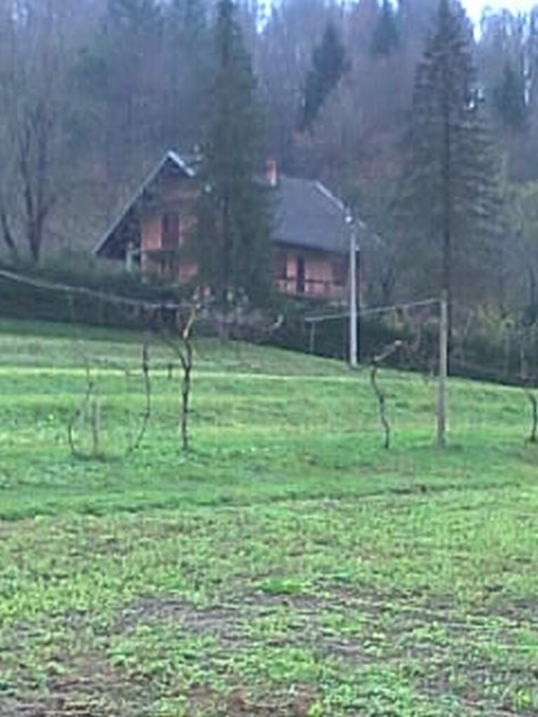 Image 4601161 - 16