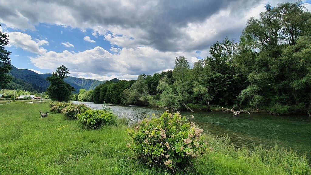 Image 4612481 - 1