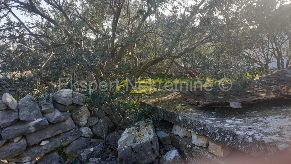 Image 4617784 - 4