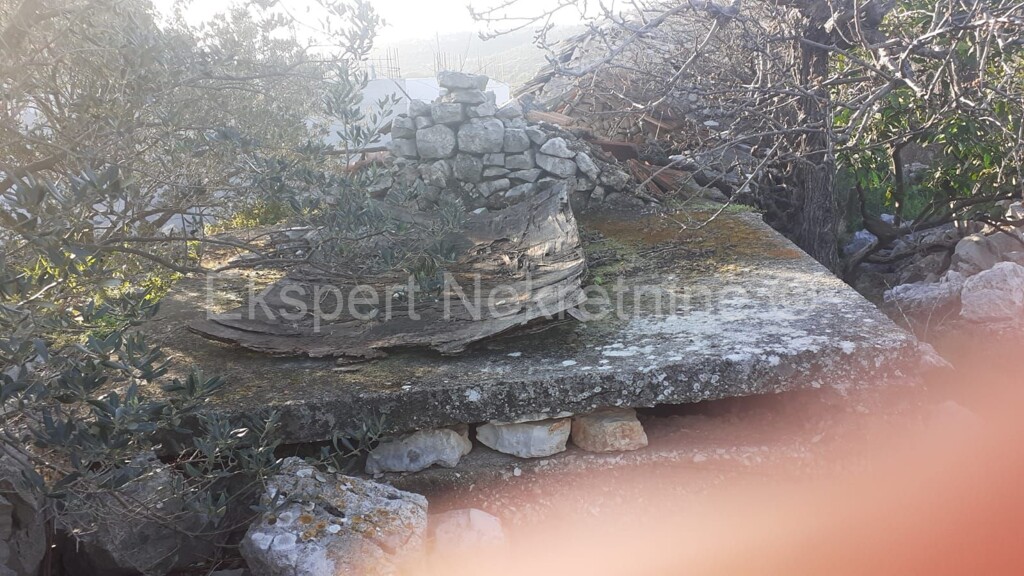 Image 4617784 - 3