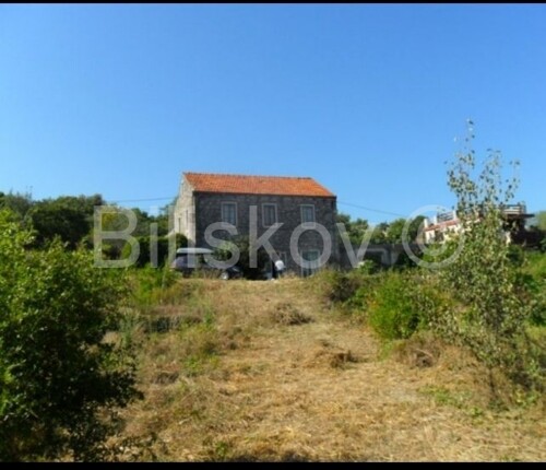 Thumbnail 4619166 - 4