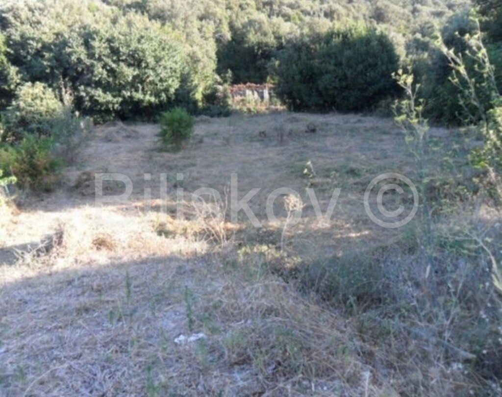 Image 4619166 - 3