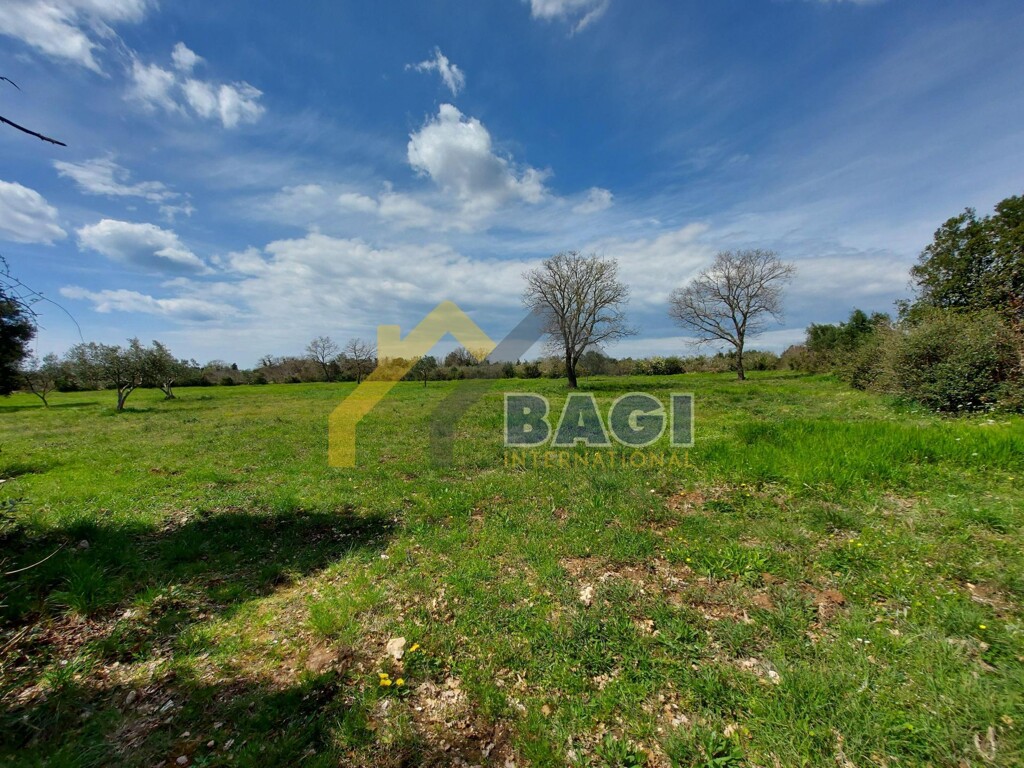 Image 4639505 - 3