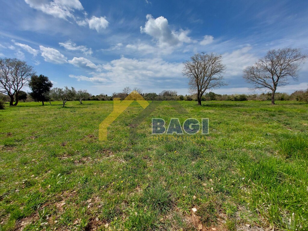 Image 4639505 - 1