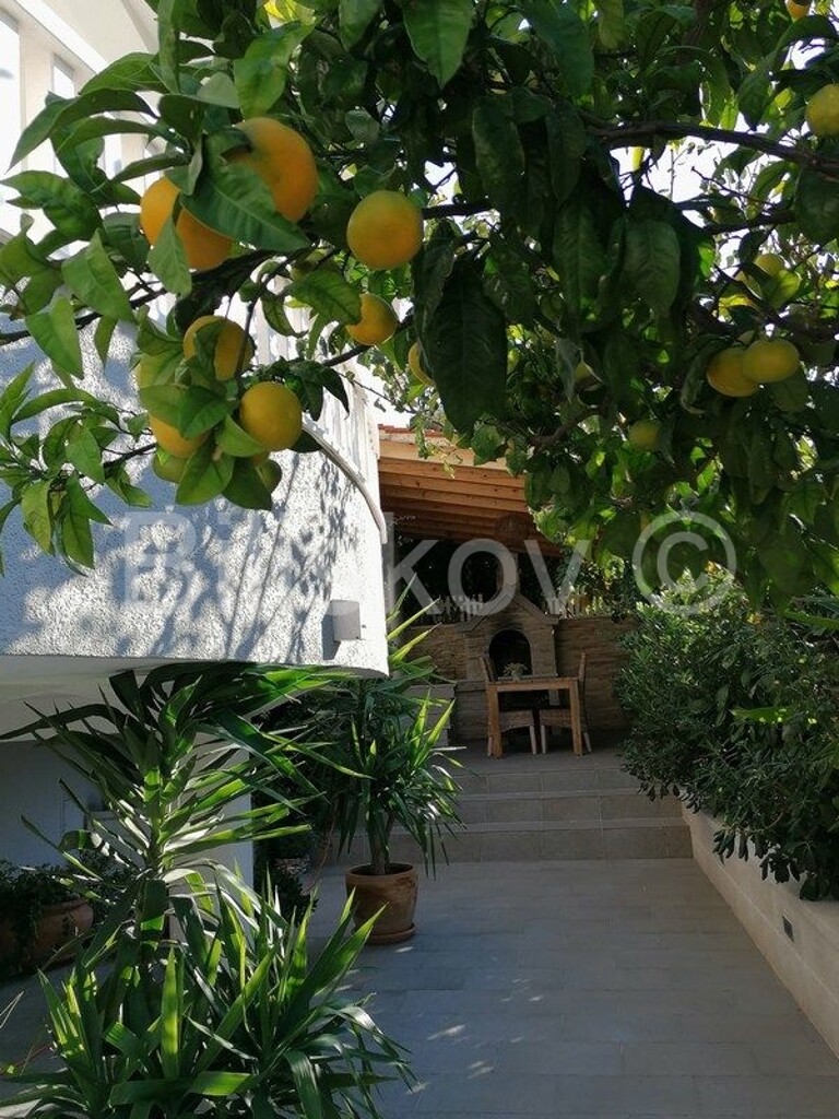 Image 4645399 - 6