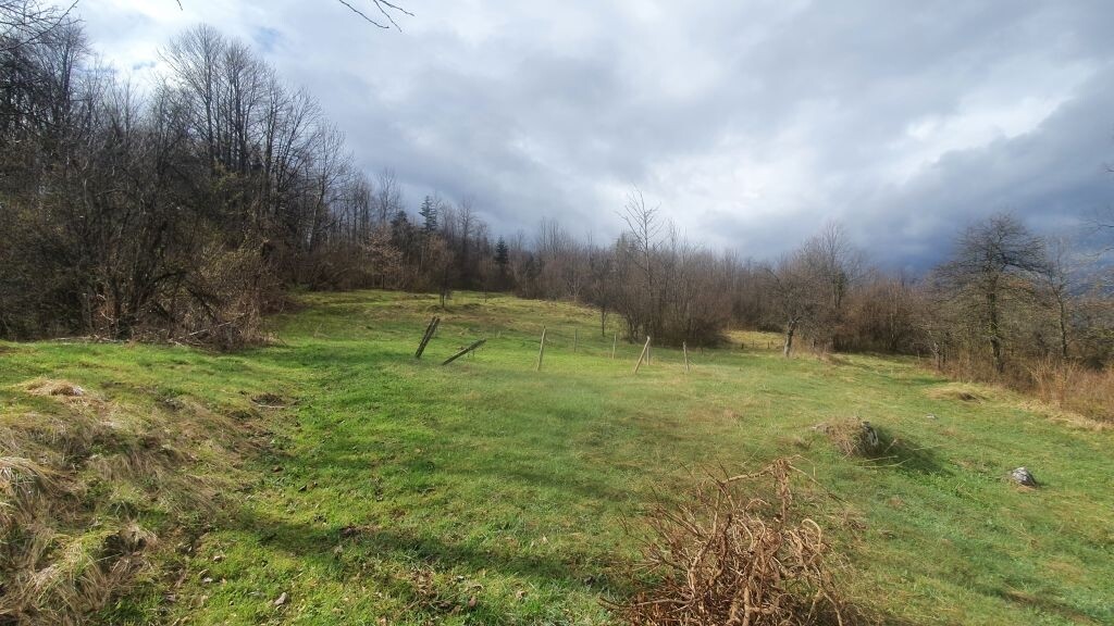 Image 4647321 - 3