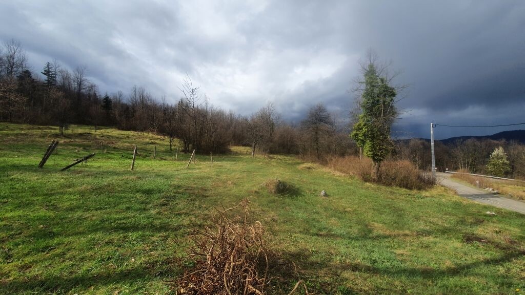 Image 4647321 - 2