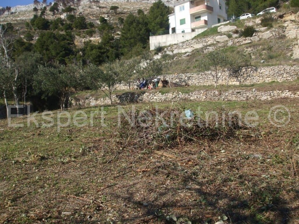 Image 4667958 - 2