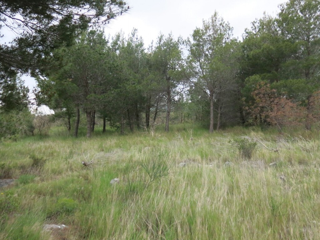 Image 4685211 - 10