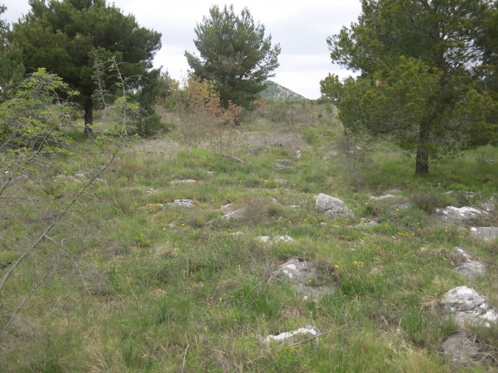 Image 4685211 - 1