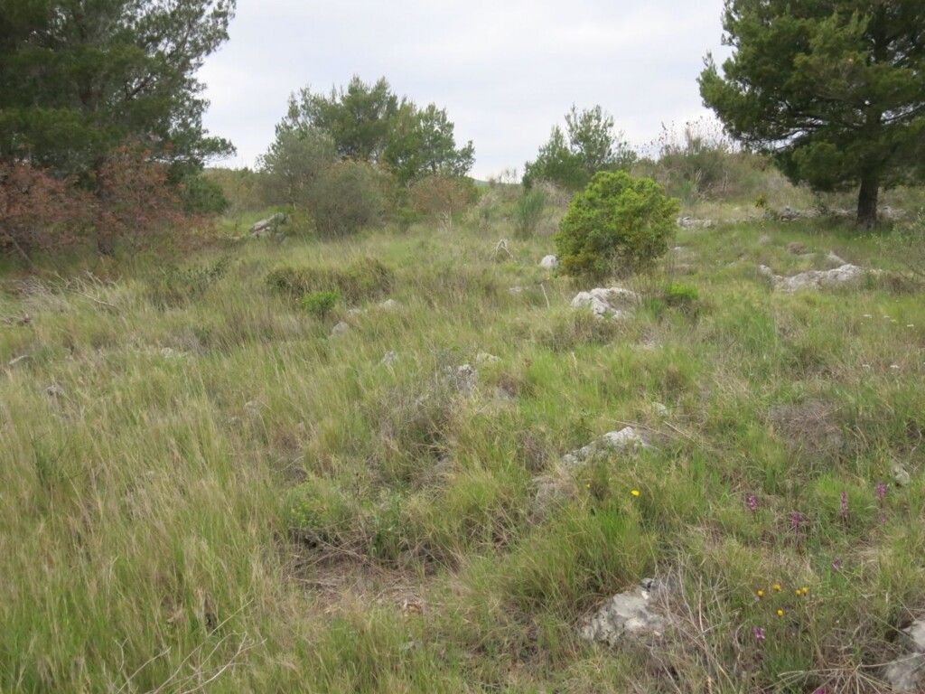Image 4685211 - 9