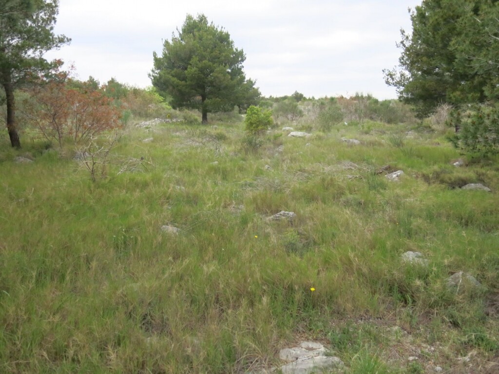 Image 4685211 - 4