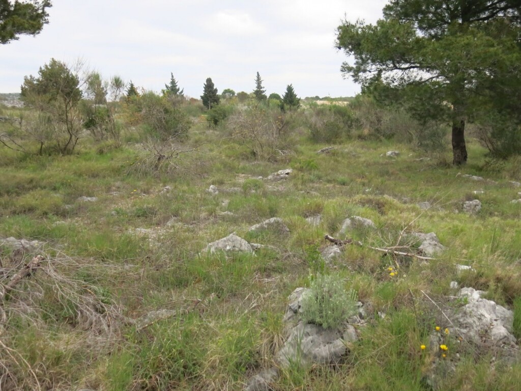 Image 4685211 - 8