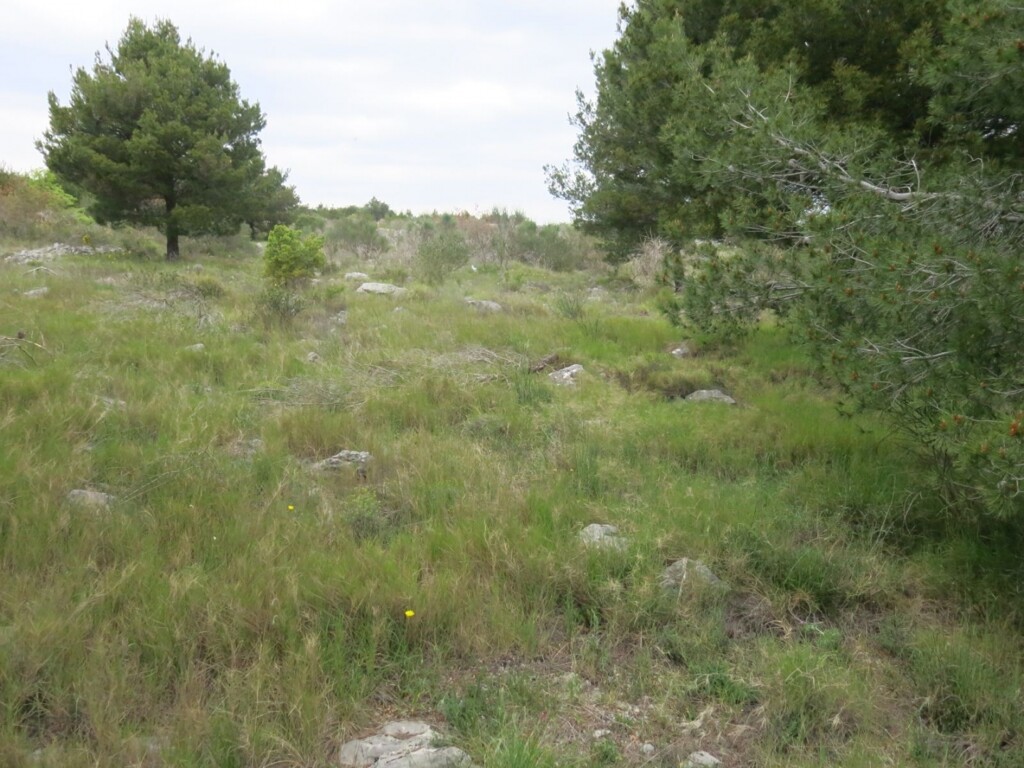 Image 4685211 - 2