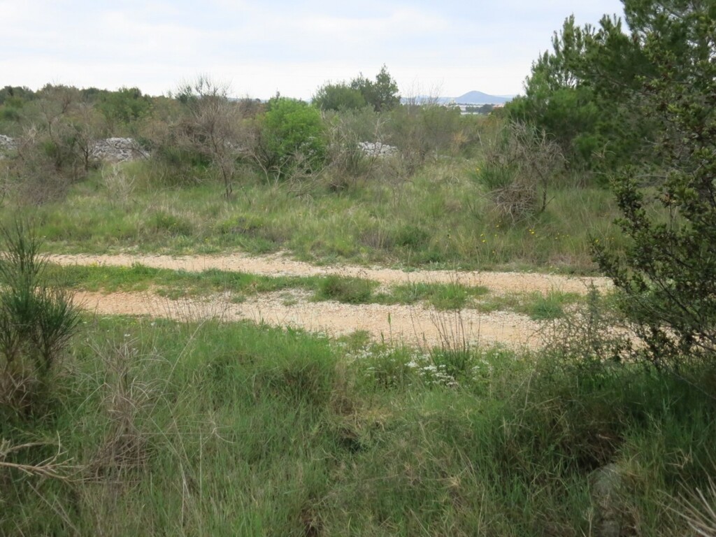 Image 4685211 - 6
