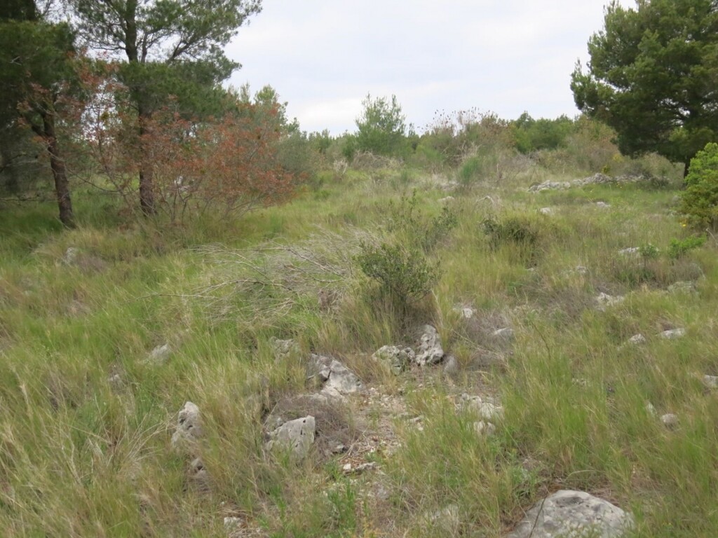 Image 4685211 - 7