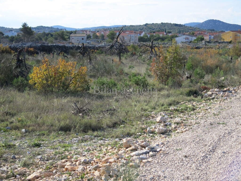 Image 4685212 - 6