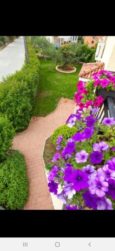 Thumbnail 4686761 - 25