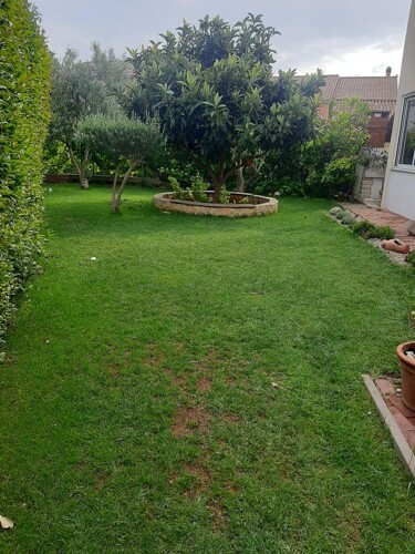 Thumbnail 4686761 - 20