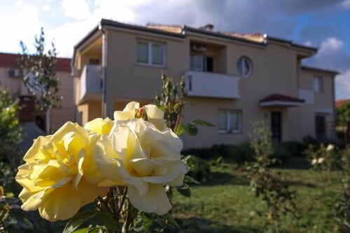 Thumbnail 4686761 - 2