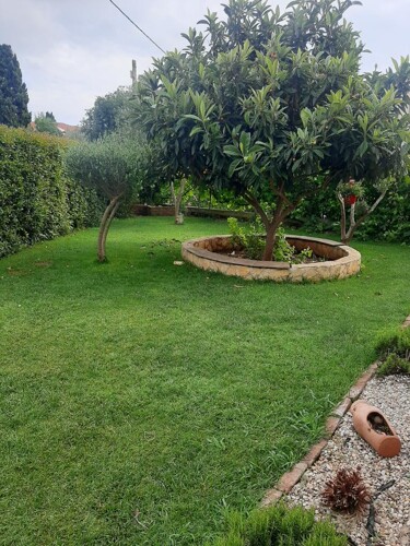 Thumbnail 4686761 - 17