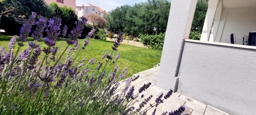 Thumbnail 4687152 - 7