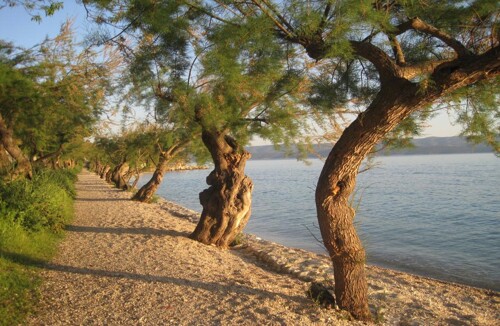 Thumbnail 4687499 - 4