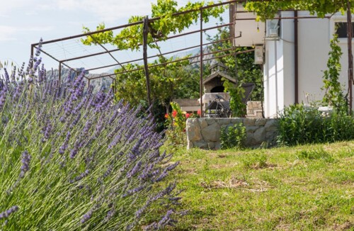 Thumbnail 4687499 - 2