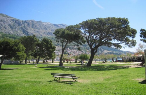 Thumbnail 4687499 - 18