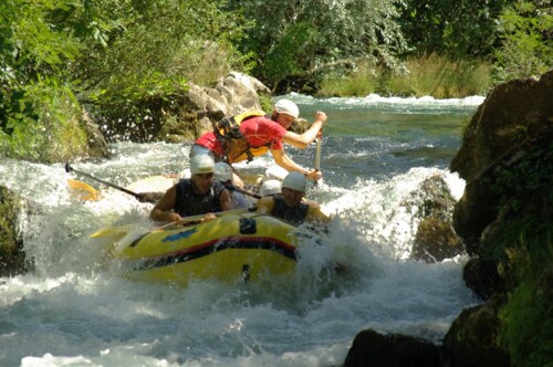 Thumbnail 4687499 - 14