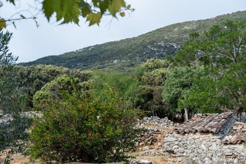 Thumbnail 4687549 - 6