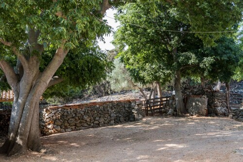 Thumbnail 4687549 - 7