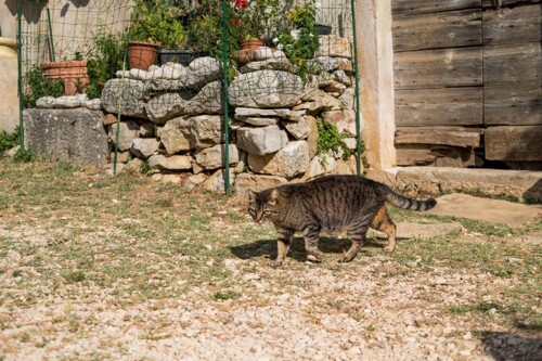 Thumbnail 4687549 - 9