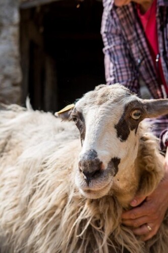 Thumbnail 4687549 - 10