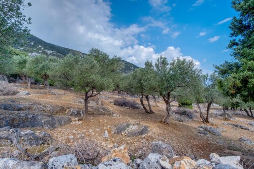 Thumbnail 4687549 - 8