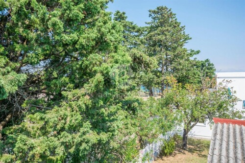 Thumbnail 4687658 - 3