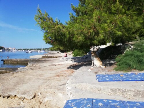 Thumbnail 4717379 - 4