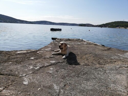 Thumbnail 4717379 - 6