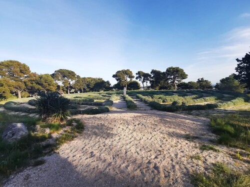 Thumbnail 4717379 - 7