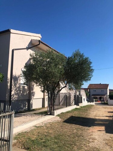 Thumbnail 4717474 - 1