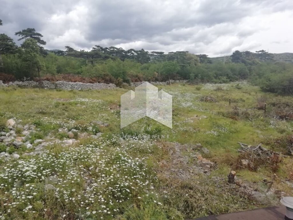 Image 4721939 - 5