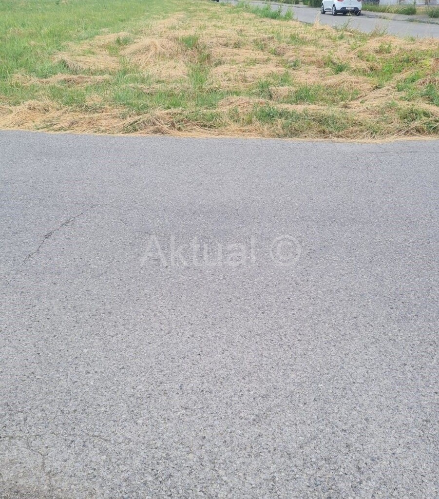 Image 4727378 - 1