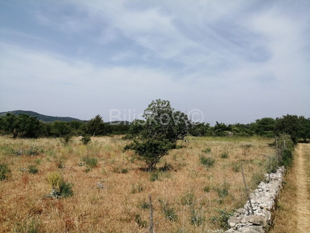 Image 4732105 - 3