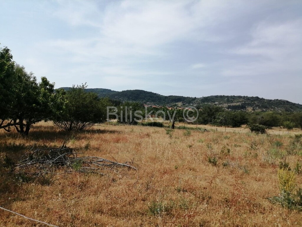 Image 4732105 - 1