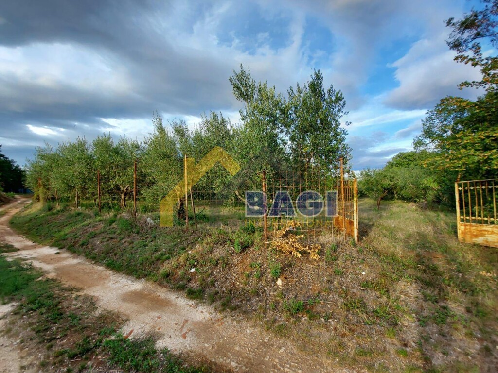 Image 4742916 - 1