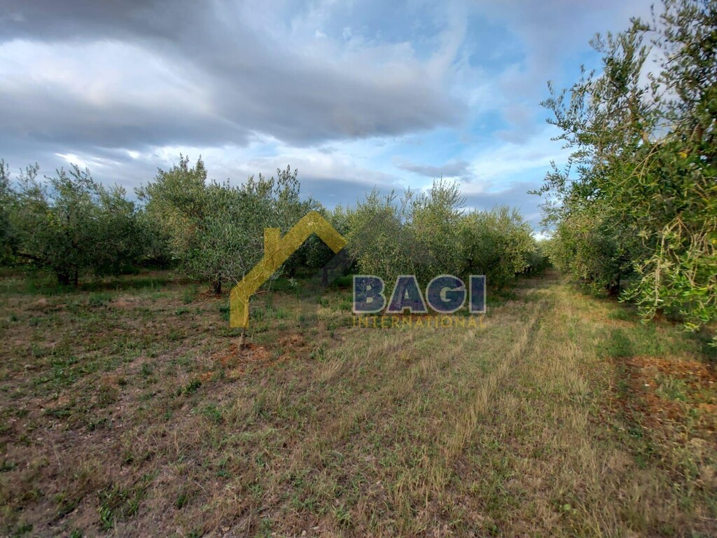 Image 4742916 - 4